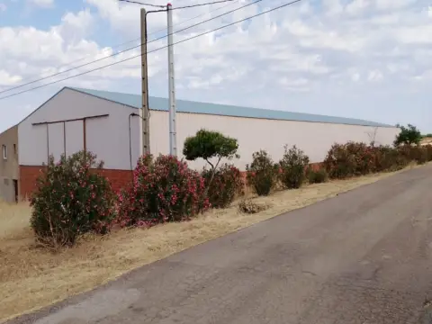 Nave industrial en calle Francisco Guerrero Cantero, nº S/N